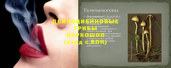 ешки Абинск