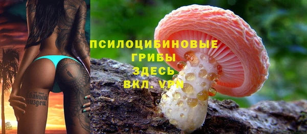 spice Абаза